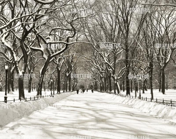 Poets Walk B+W