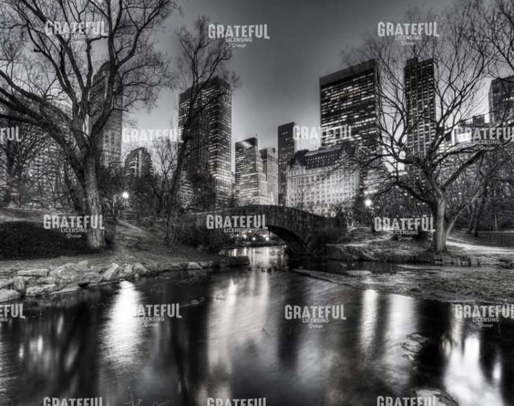 Central Park Evening