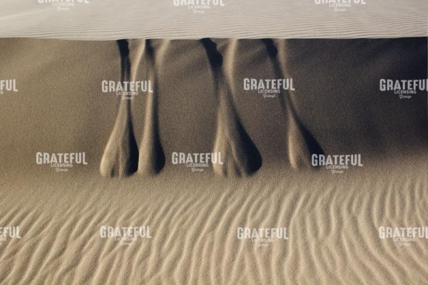 Dogbone Dunes