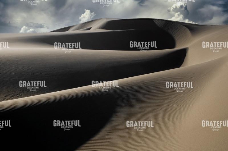 Dune Flower