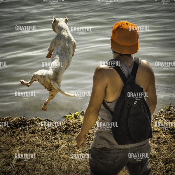 Leaping Perro