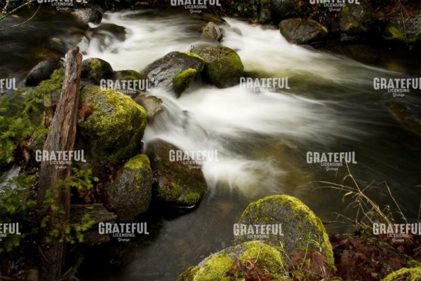 Lithia Creek
