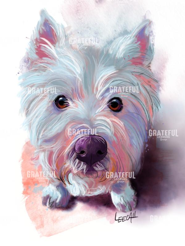 Lily the Westie