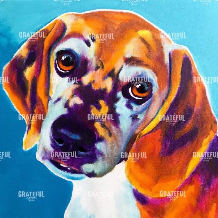 Beagle - BJ