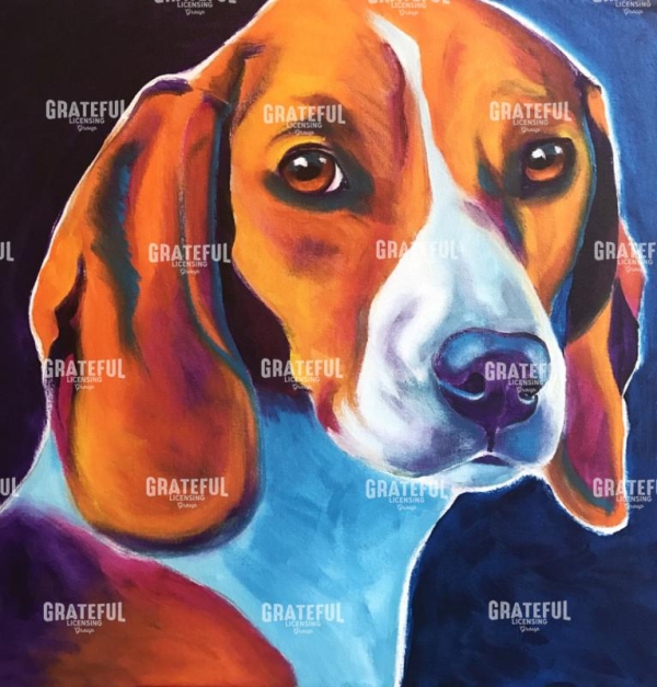 Beagle - Lucy May