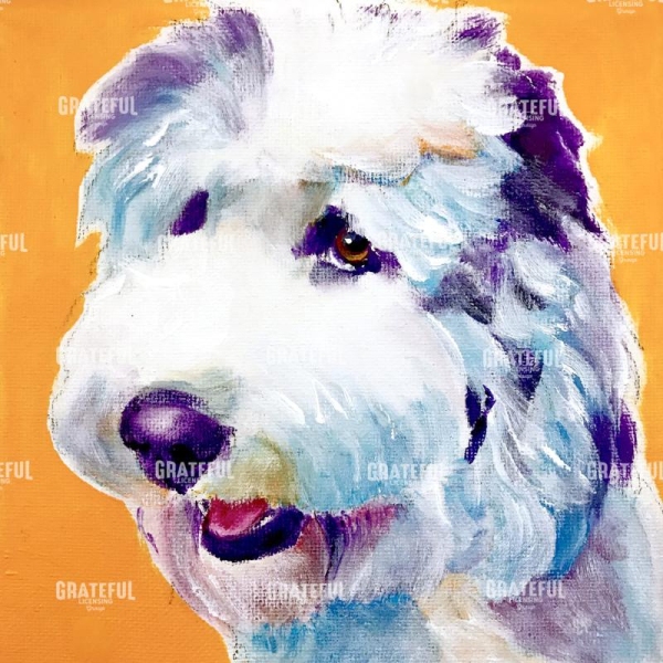 Doodle - Boogie