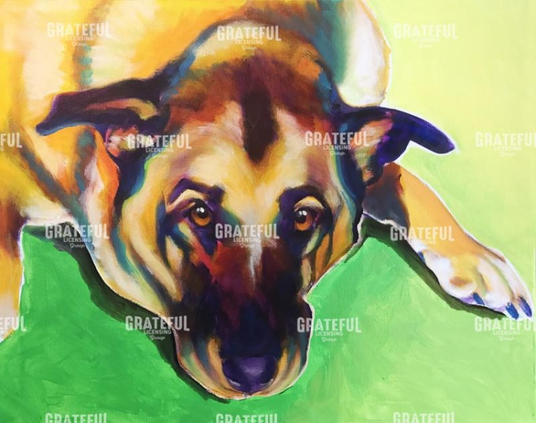 German Shepherd - Stanley Boy