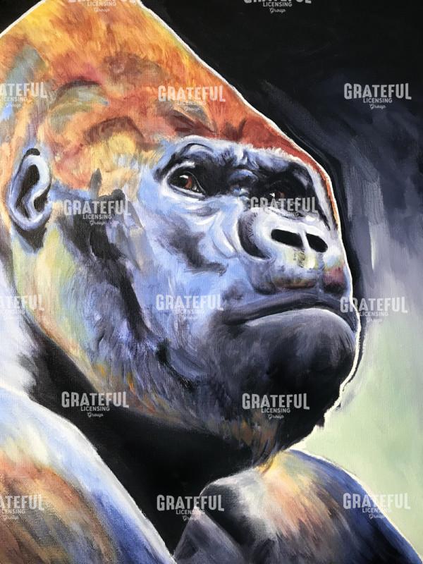 Gorilla - Silverback