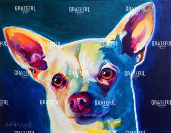 Chihuahua - Coco