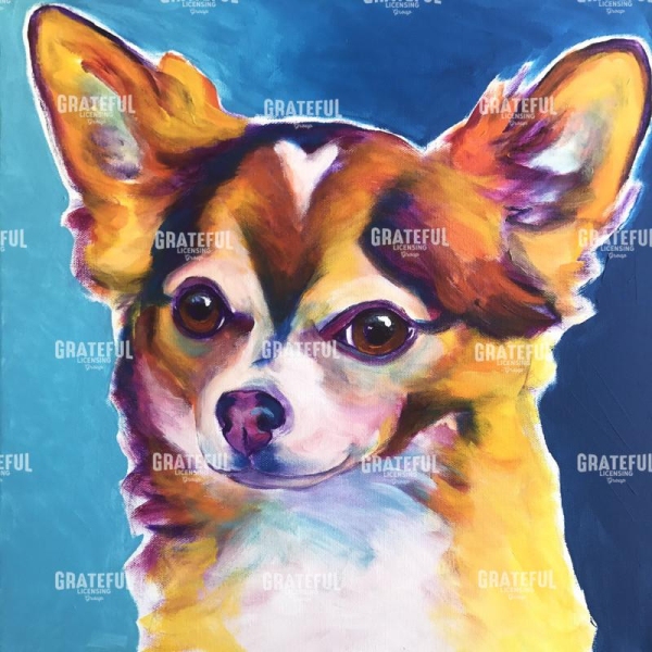 Chihuahua - Honey