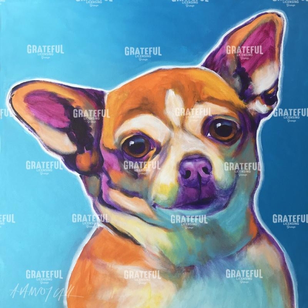 Chihuahua - Starr