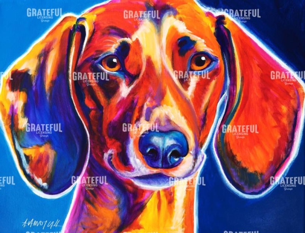 Dachshund - Bubbs