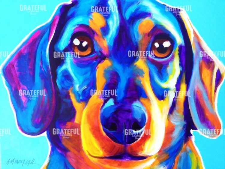 Dachshund - Oscar