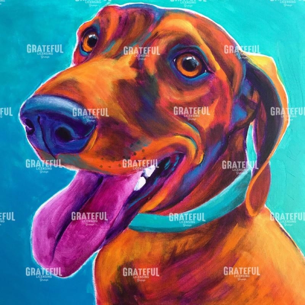 Dachshund - turquoise