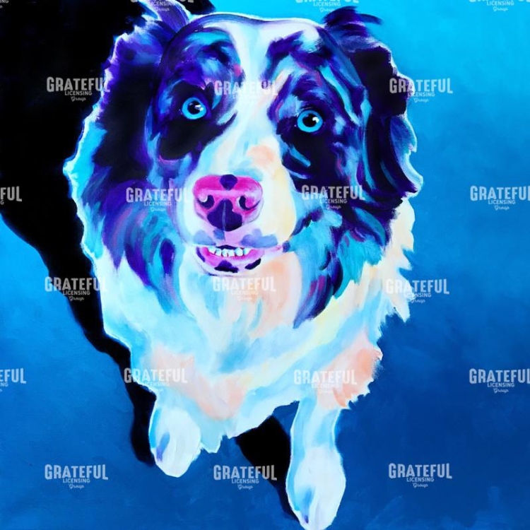 Aussie - Kokanee