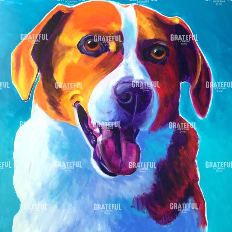 Beagle - Penny