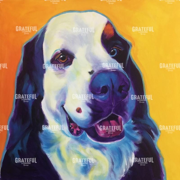 Bernese Mountain Dog - Zeke 2