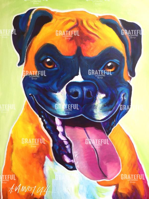 Boxer - Bear