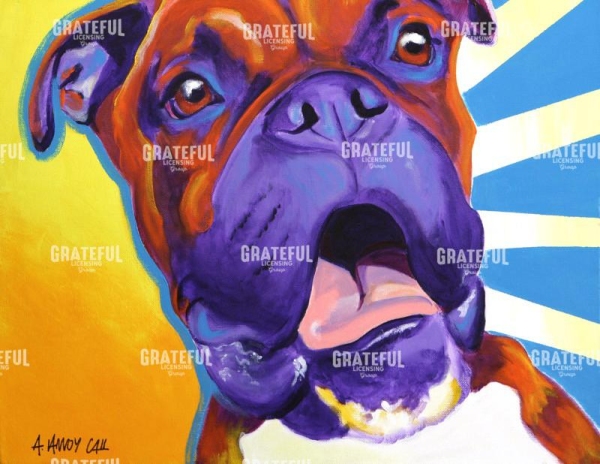 Boxer - Chance