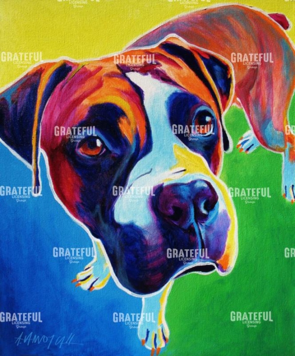 Boxer - Leo
