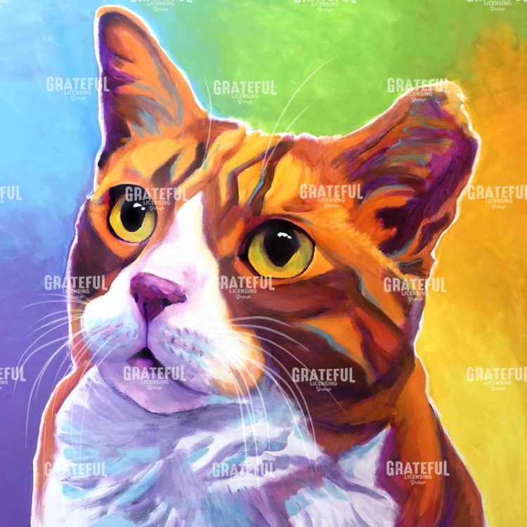 Cat - Ernie