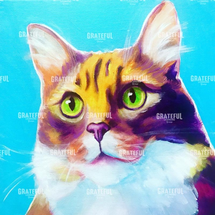 Cat - Willow