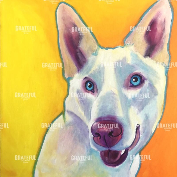 Husky - Charlie