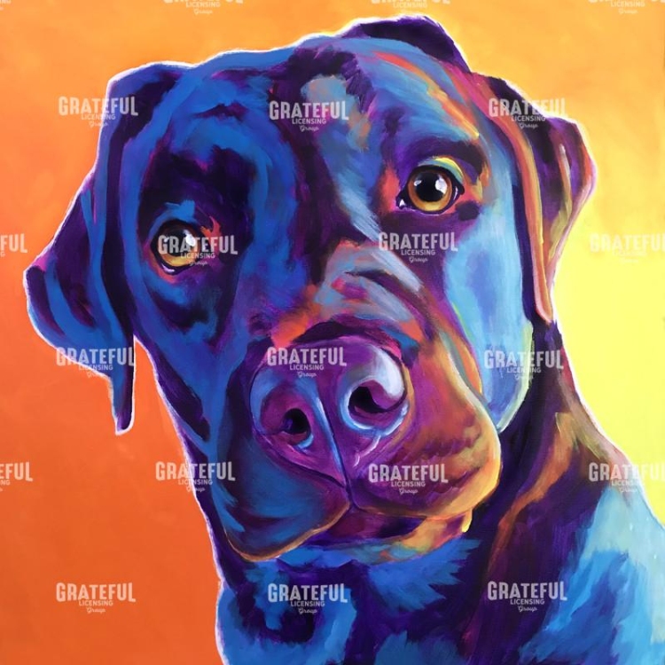 Lab - Kona