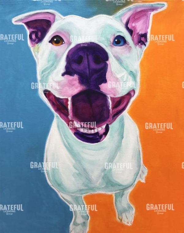 Pit Bull - Angel