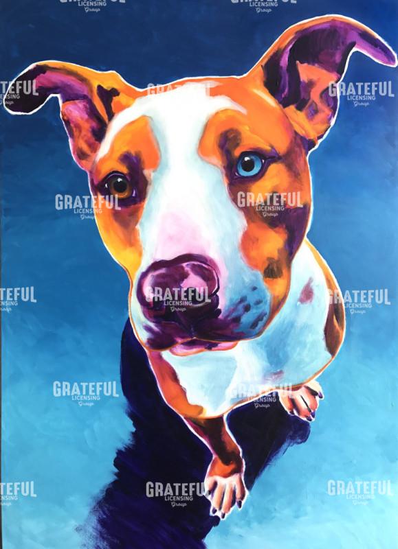 Pit Bull - Bentley
