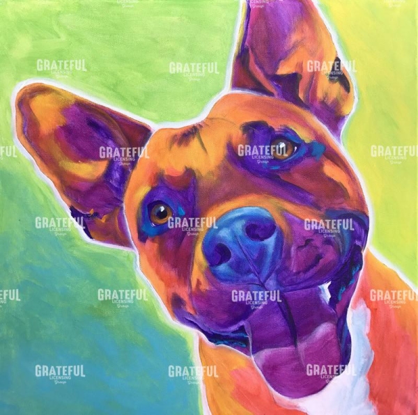 Pit Bull - Billy