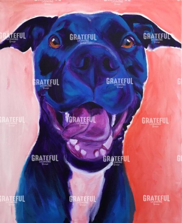 Pit Bull - Crysanthemum