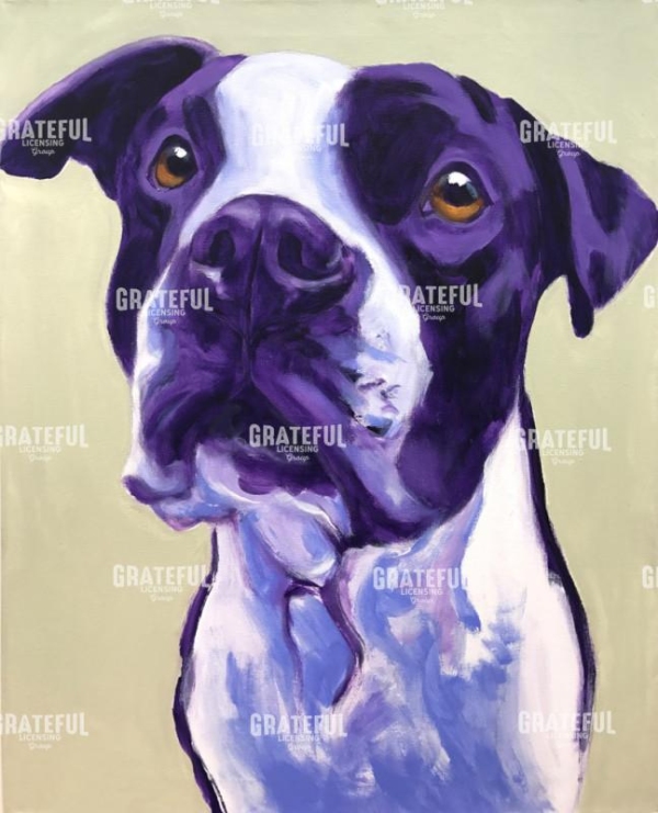 Pit Bull - David