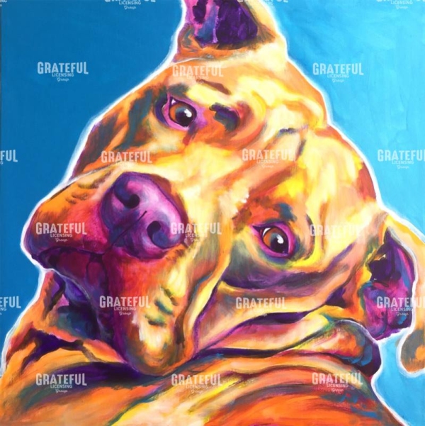 Pit Bull - Dozer