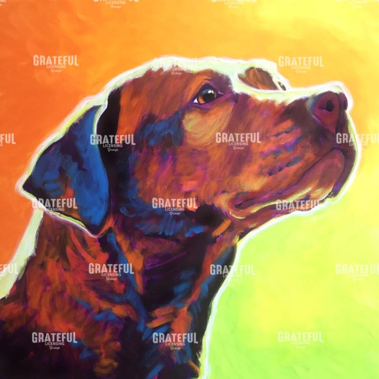 Pit Bull - Fuji