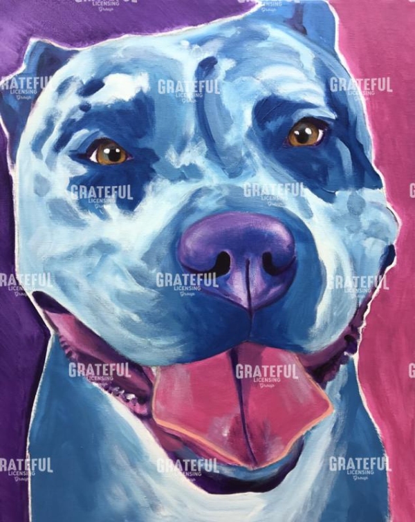 Pit Bull - Merle