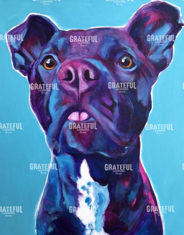 Pit Bull - Neko