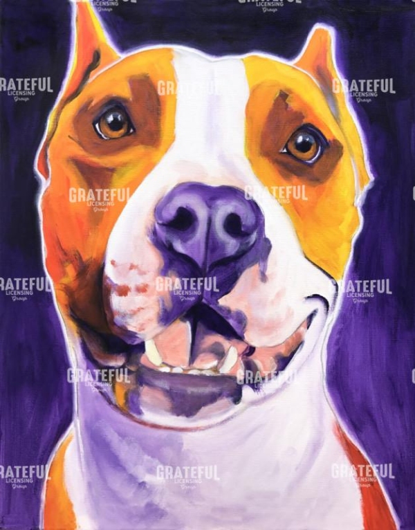 Pit Bull - Rexy