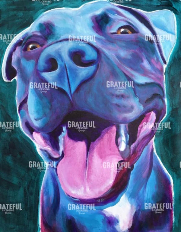 Pit Bull - Sky Blue