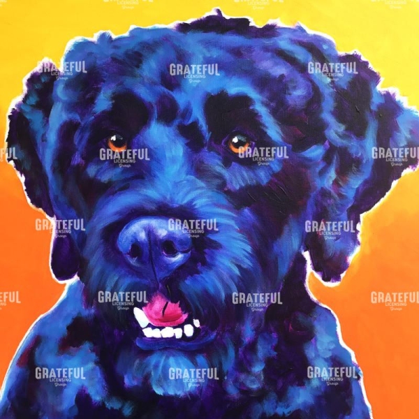 Portuguese Water Dog - Banks