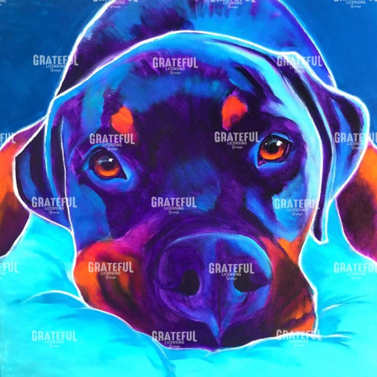 Rottie - Dexter 2