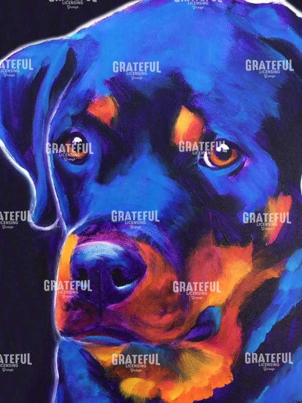 Rottie - Dexter