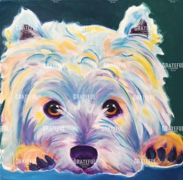 Westie - Chispy 2