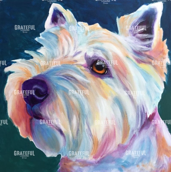 Westie - Chispy 3