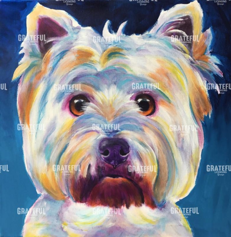 Westie - Chispy