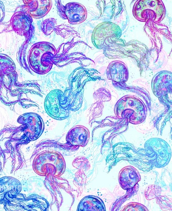 Jelly Fish