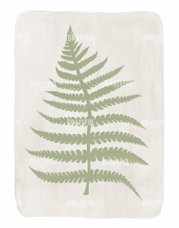 CLARK FERN3
