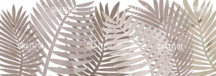 CLARK PALMS 5