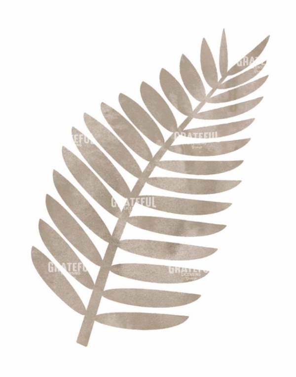 CLARK PALM1