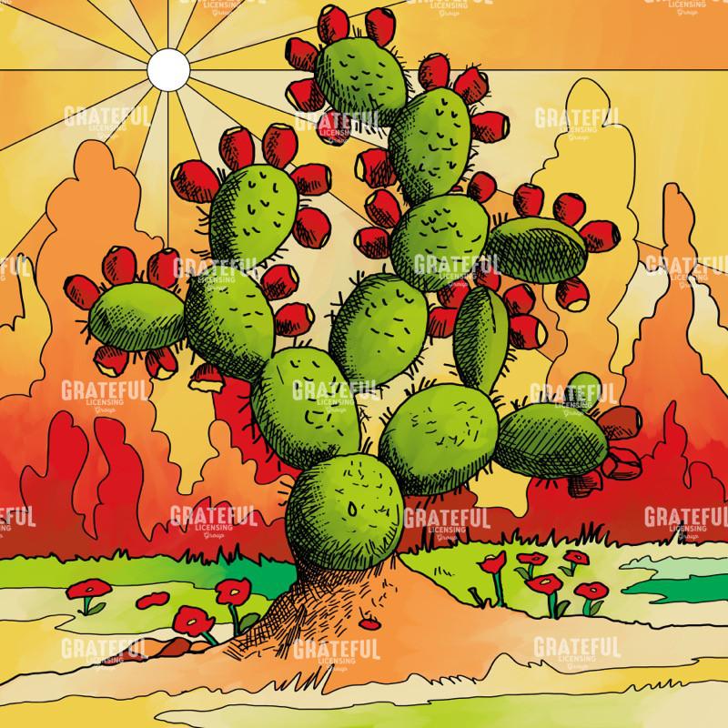 Cactus Landscape